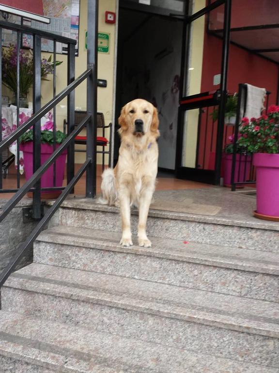 Hotel Renato Sesto San Giovanni Buitenkant foto